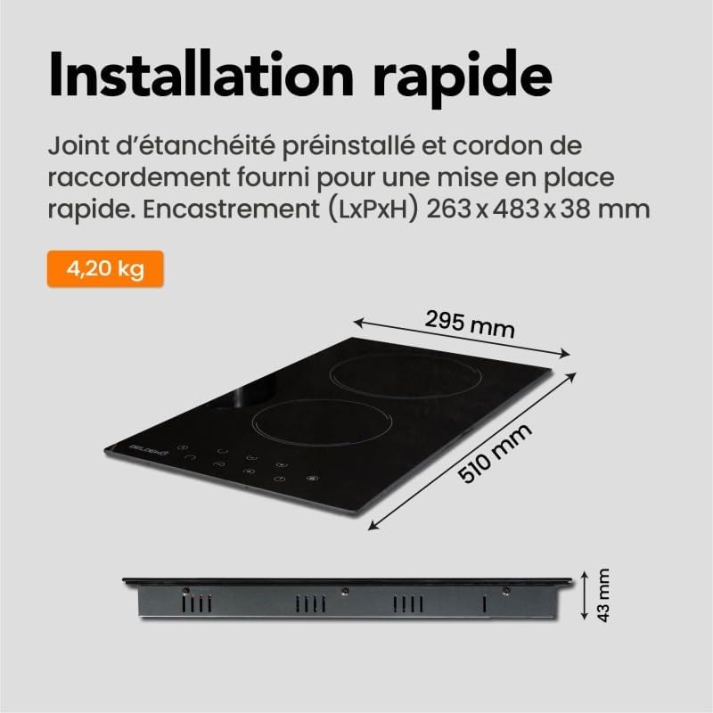 Plaque induction 2 feux vitrocéramique noire avec minuterie intégrée