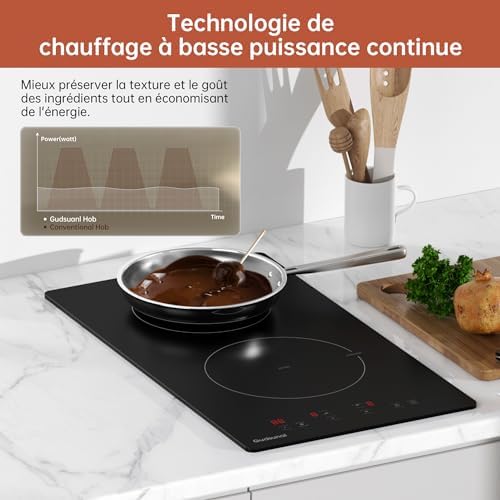 Plaque induction 2 feux avec fonctionnalités avancées et sécurité renforcée