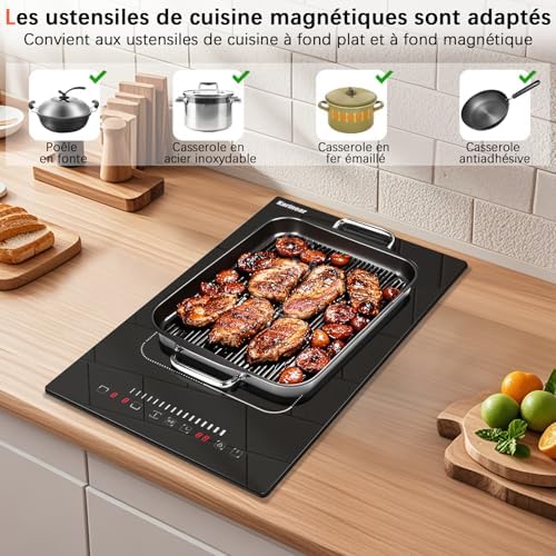 Plaque induction 2 feux avec puissance exceptionnelle et design élégant