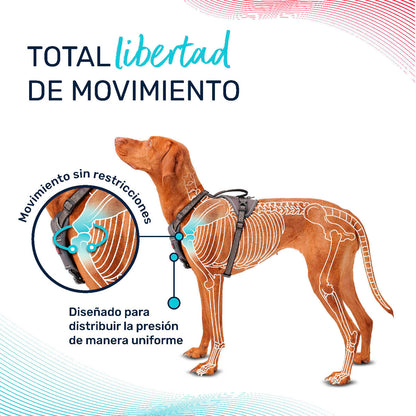 V4HA9A9ADFB0E021A91C2782978A73E463BR5328481P6