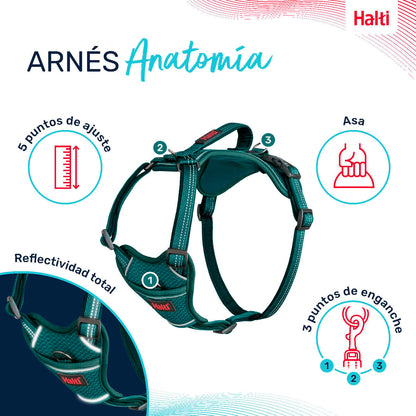 V4H3CFB8E4E95CB2461119A18CD708FE7A7R5328493P3