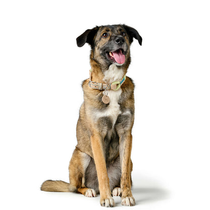 V3H9F64B99FA58FB2EDCD5F2C6DF2AE5AD2R5575489P5