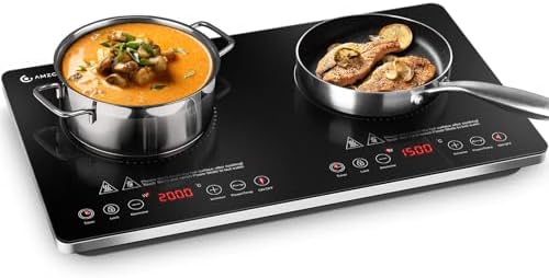 Plaque induction 2 feux haute efficacité avec système de cuisson double zone et sécurité intégrée