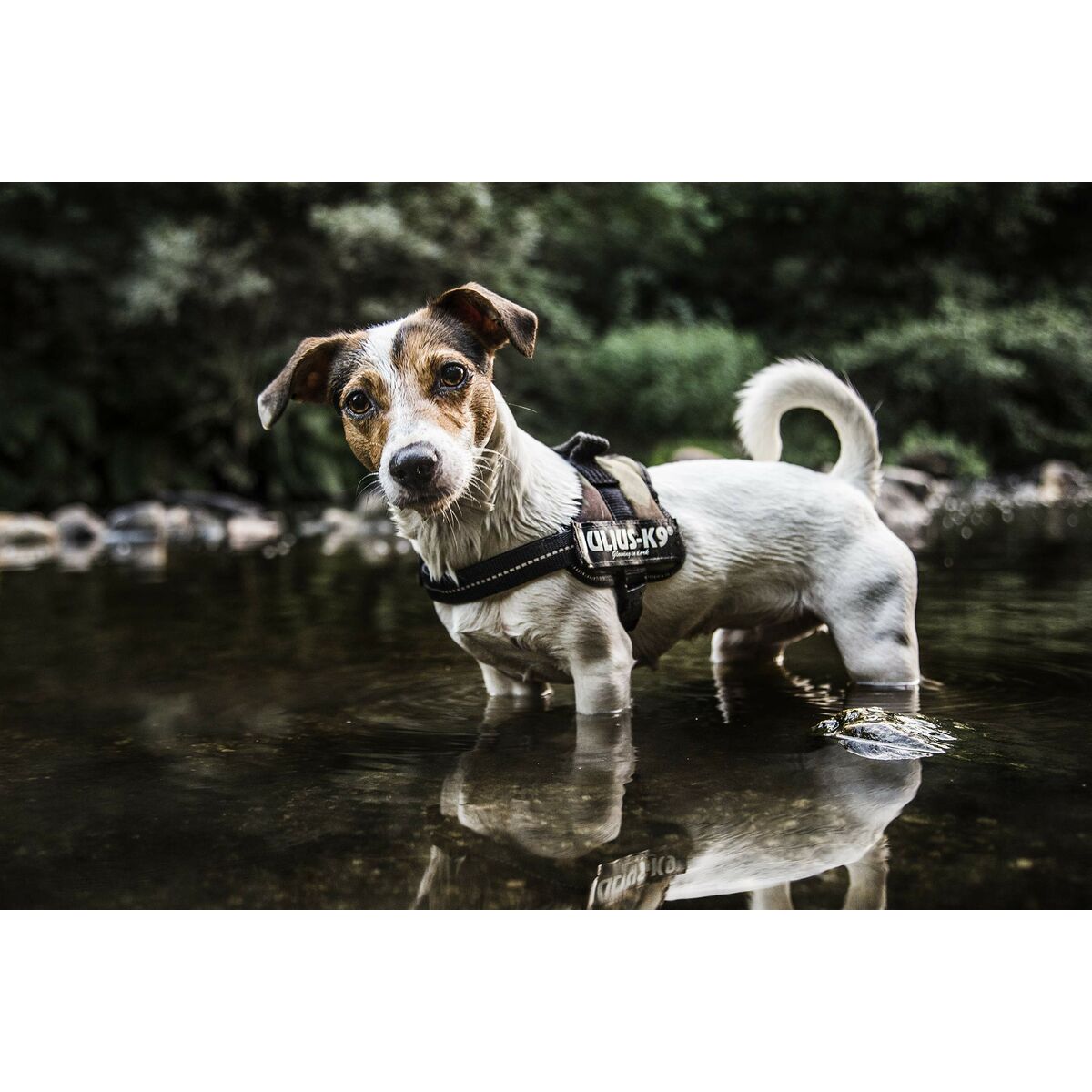 V5HBEDACE6499A611233F1ECA063E490D3DR7444350P8